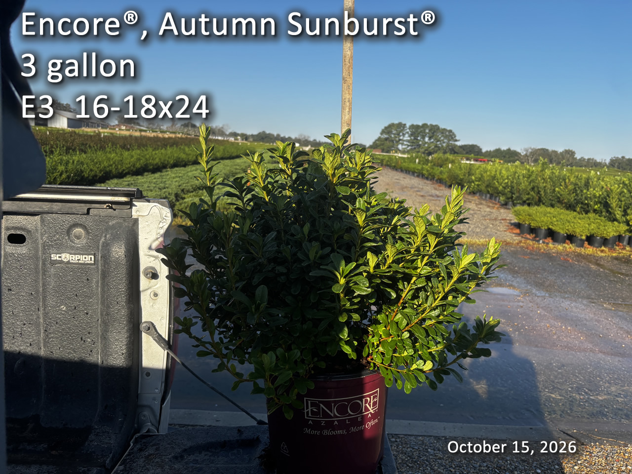 gallery/esb3 e3 oct15.jpg